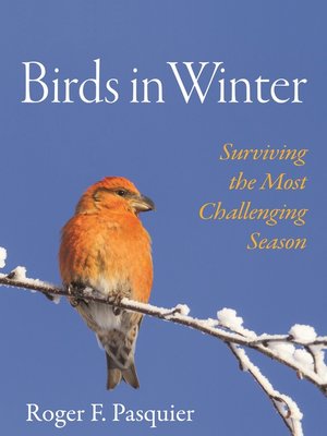 cover image of Birds in Winter